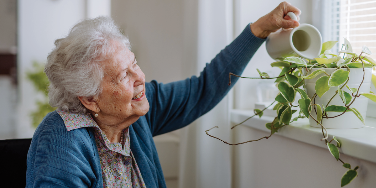 elderly woman watering a plant on a windowsill