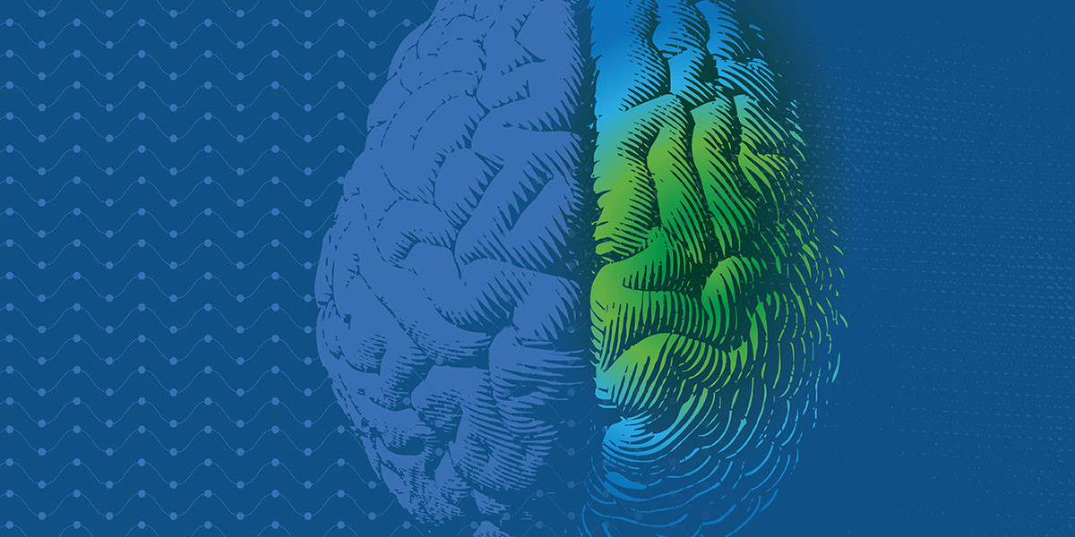 visual representation of brain changes