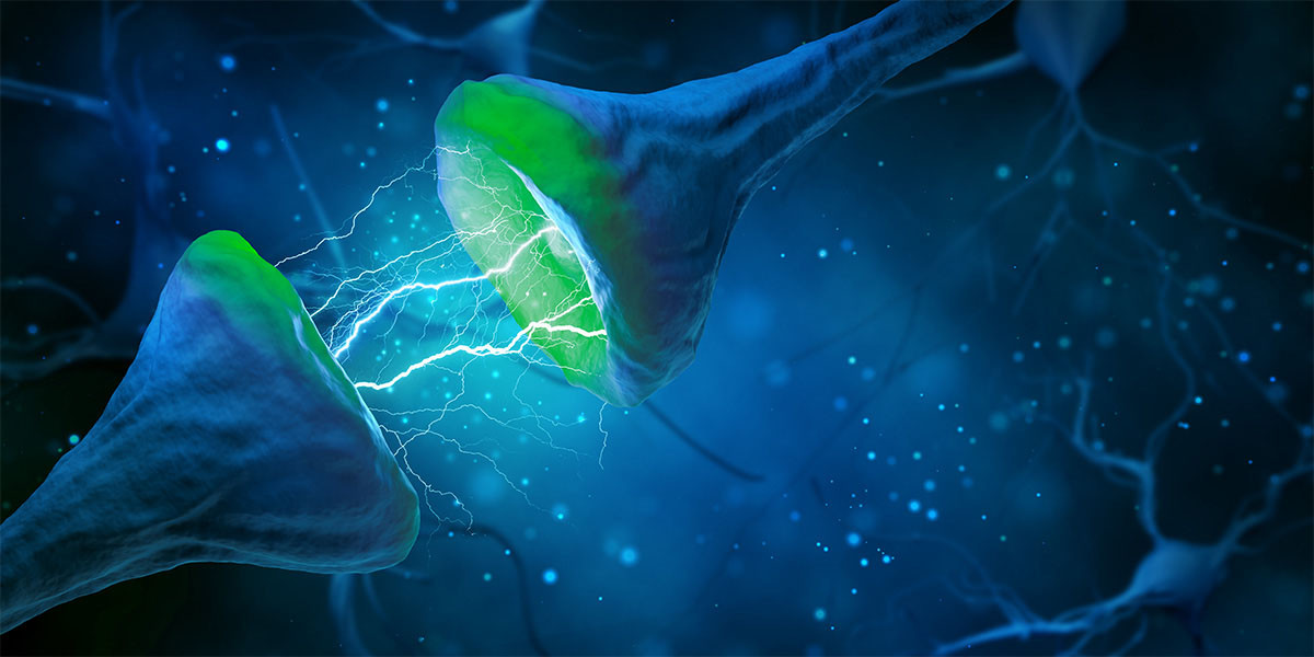 Neurology-Forward Care Reduces Hospitalization & ED Visits