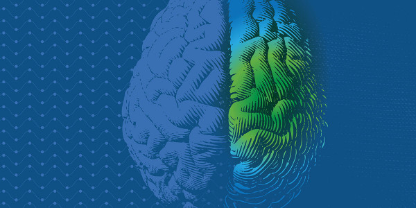visual representation of brain changes