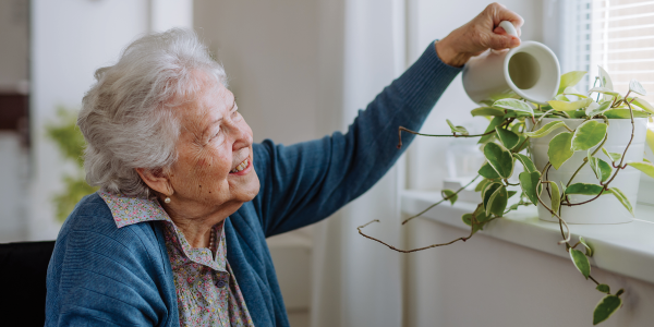 elderly woman watering a plant on a windowsill
